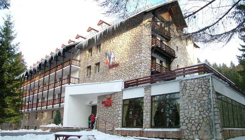 Ana Hotels Bradul Poiana Brasov Ngoại thất bức ảnh